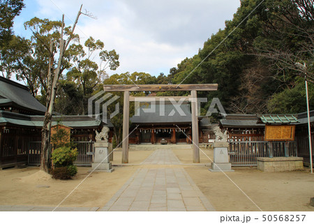 四條畷神社/大阪府四條畷市南野2 四條畷神社/大阪府四條畷市南野2 50568257