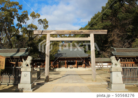 四條畷神社/大阪府四條畷市南野2 四條畷神社/大阪府四條畷市南野2 50568276