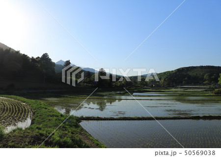 棚田 石岡市風景 棚田 石岡市風景 50569038