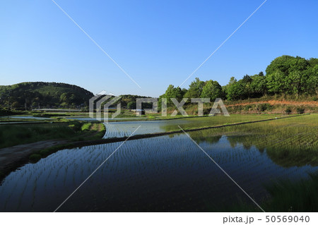 棚田　石岡市風景 50569040