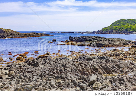 伊豆半島ジオパーク、爪木崎の海底火山噴火の痕跡、静岡県下田市須崎爪木崎海岸にて 50569187