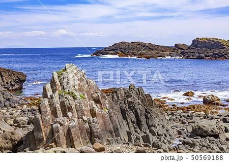 伊豆半島ジオパーク、爪木崎の海底火山噴火の痕跡、静岡県下田市須崎爪木崎海岸にて 伊豆半島ジオパーク、爪木崎の海底火山噴火の痕跡、静岡県下田市須崎爪木崎海岸にて 50569188