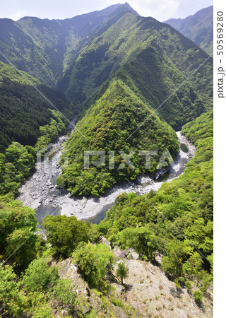 祖谷渓 ひの字渓谷(徳島県三好市) 祖谷渓 ひの字渓谷(徳島県三好市) 50569280