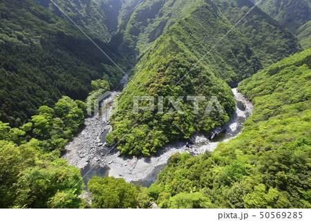祖谷渓　ひの字渓谷（徳島県三好市） 50569285