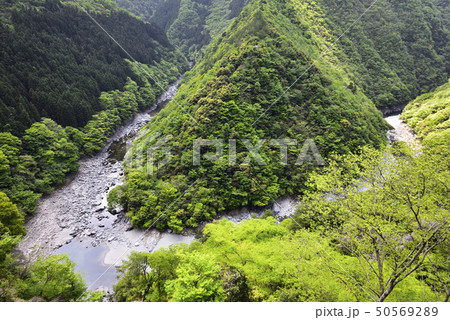 祖谷渓　ひの字渓谷（徳島県三好市） 50569289