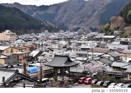 郡上八幡の町並み 50569350