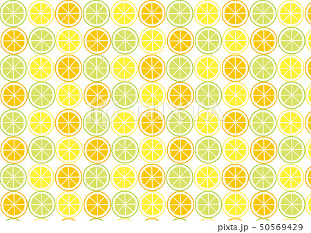 シンプル 輪切りレモン オレンジ ライム整列 パターンのイラスト素材
