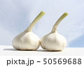 ニンニク 50569688