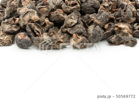 アムラ インディアングーズベリー インドスグリ: Amla Indian gooseberry アムラ インディアングーズベリー インドスグリ: Amla Indian gooseberry 50569772