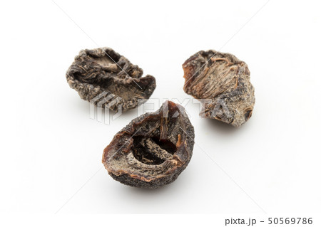 アムラ インディアングーズベリー インドスグリ: Amla Indian gooseberry アムラ インディアングーズベリー インドスグリ: Amla Indian gooseberry 50569786