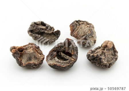 アムラ インディアングーズベリー インドスグリ: Amla Indian gooseberry アムラ インディアングーズベリー インドスグリ: Amla Indian gooseberry 50569787