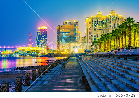 Xiamen Bay Park night view 50570728