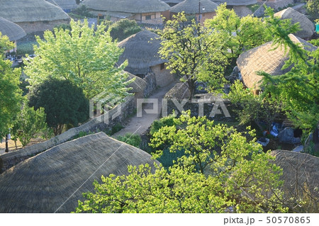 近所 村 日の出 50570865