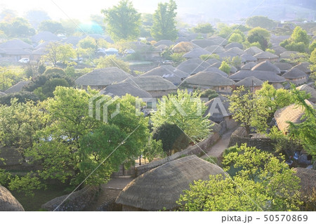 近所 村 日の出 50570869