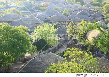 近所 村 日の出 50570872