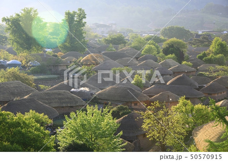 近所 村 日の出 50570915