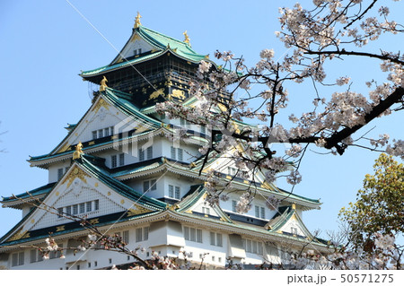 大阪城の桜 大阪城の桜 50571275