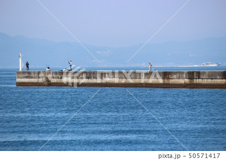 防波堤で釣りをする人々 50571417