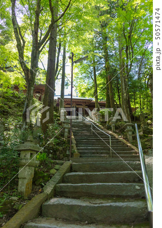 新緑の雷山千如寺大悲王院_福岡県糸島市雷山626 新緑の雷山千如寺大悲王院_福岡県糸島市雷山626 50571474