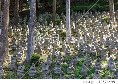 新緑の雷山千如寺大悲王院_福岡県糸島市雷山626 50571499