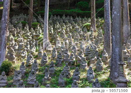 新緑の雷山千如寺大悲王院_福岡県糸島市雷山626 新緑の雷山千如寺大悲王院_福岡県糸島市雷山626 50571500