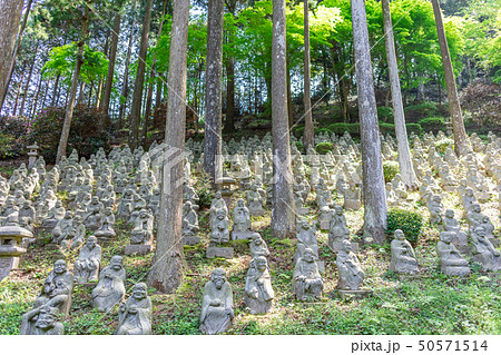 新緑の雷山千如寺大悲王院_福岡県糸島市雷山626 新緑の雷山千如寺大悲王院_福岡県糸島市雷山626 50571514
