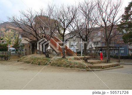 川崎池公園/大阪府四條畷市南野1 川崎池公園/大阪府四條畷市南野1 50571726