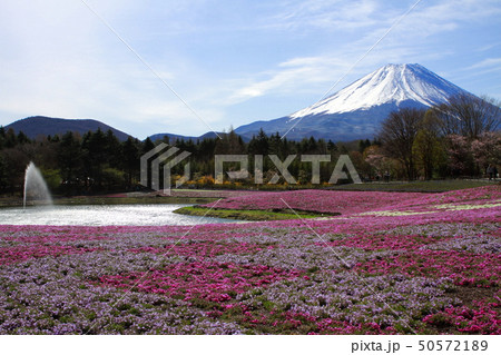 富士山 富士山 50572189