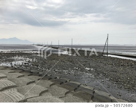 天草の干潟 天草の干潟 50572680