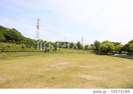 大府みどり公園　芝生広場 50573189