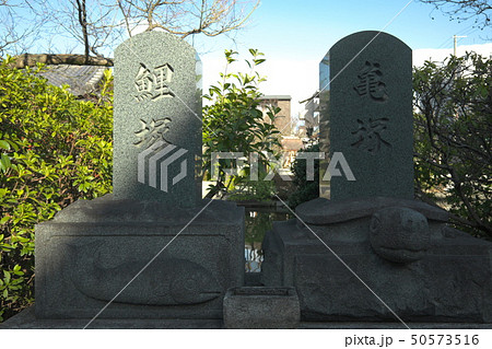 神泉苑の鯉塚と亀塚 50573516