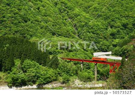 越美北線 新緑の勝原鉄橋 越美北線 新緑の勝原鉄橋 50573527