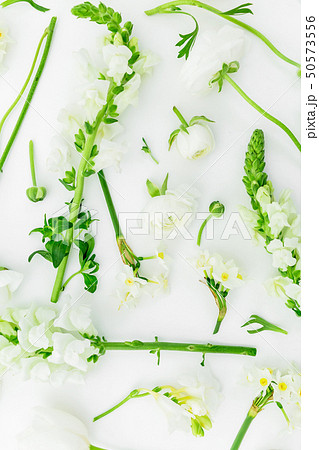 Floral composition made of white flowers on white Floral composition made of white flowers on white 50573556