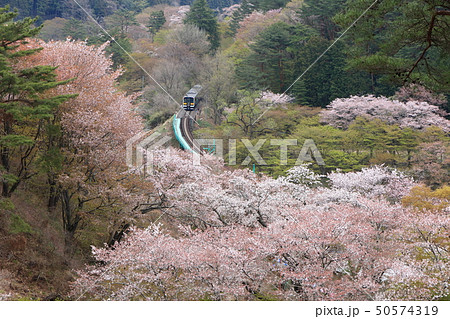 水郡線「４月中旬の矢祭山俯瞰風景」 50574319