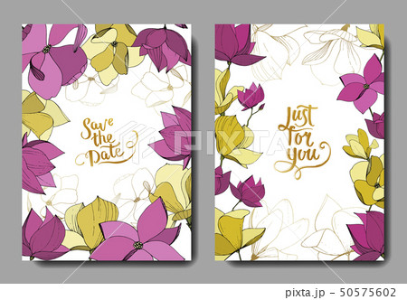 Vector Magnolia botanical flowers. Purple and yellow engraved ink art. Wedding background card 50575602