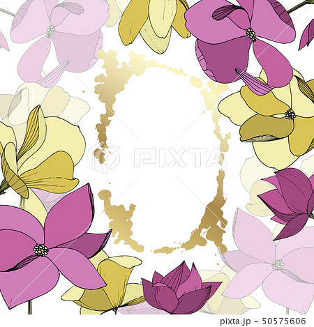 Vector Magnolia floral botanical flowers. Purple and yellow engraved ink art. Frame border ornament 50575606
