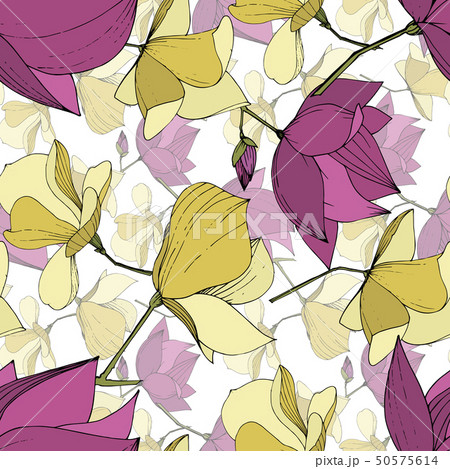 Vector Magnolia floral botanical flowers. Purple and yellow engraved ink art. Seamless background Vector Magnolia floral botanical flowers. Purple and yellow engraved ink art. Seamless background 50575614