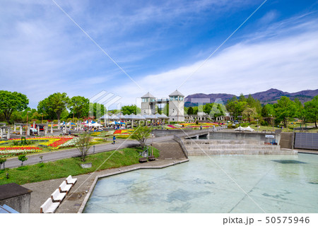 ぐんまフラワーパーク・チューリップフェスタ 50575946