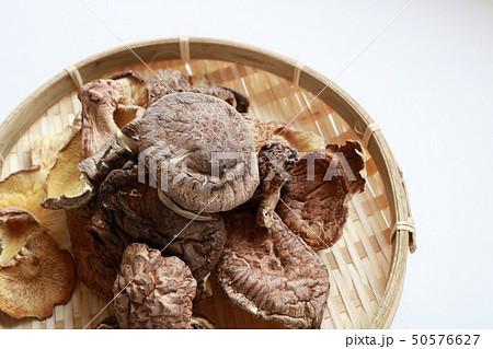 干し椎茸 50576627