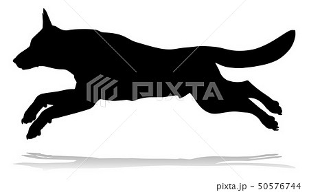 Dog Silhouette Pet Animal Dog Silhouette Pet Animal 50576744