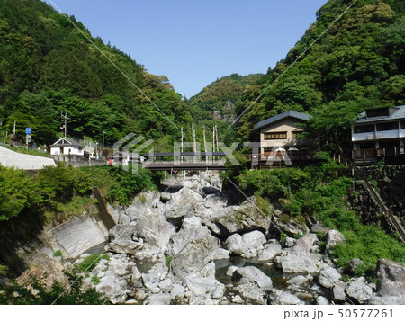 仁淀川　中津渓谷　鯉のぼり 50577261