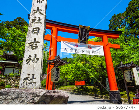 日吉大社の鳥居 50577747