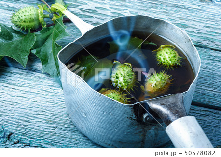 Healing potion from datura. Healing potion from datura. 50578082