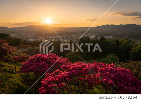 笠間つつじ公園の夕日 50578264