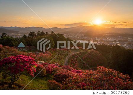 笠間つつじ公園の夕日 笠間つつじ公園の夕日 50578266