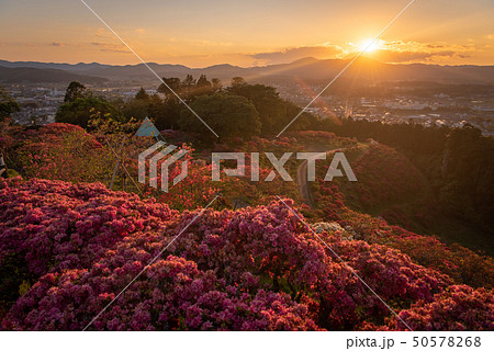 笠間つつじ公園の夕日 50578268