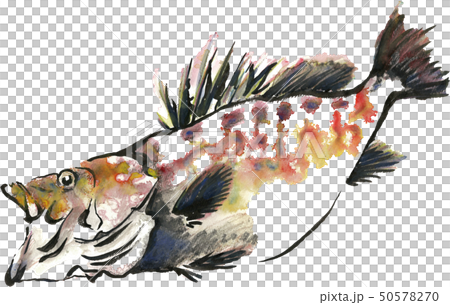 九絵 九絵 50578270