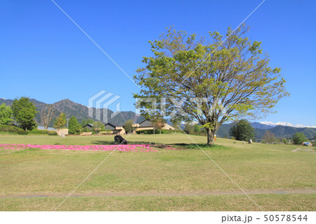 春の安曇野ちひろ公園 春の安曇野ちひろ公園 50578544
