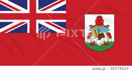 Flag Bermuda swaying in wind, vector Flag Bermuda swaying in wind, vector 50579024
