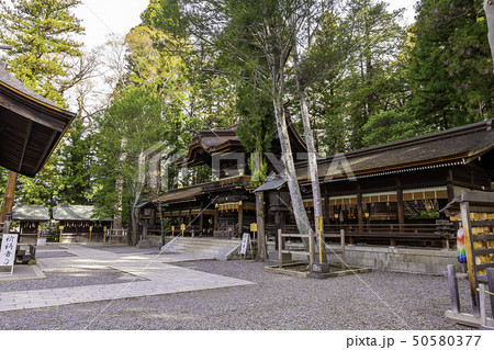 長野県諏訪郡 諏訪大社 下社秋宮 拝殿 長野県諏訪郡 諏訪大社 下社秋宮 拝殿 50580377
